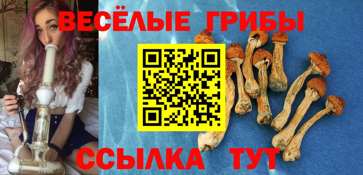 Галлюциногенные грибы Cubensis  Вход с VPN  Набережные Челны  купить  цена  Галлюциногенные грибы ЛСД 