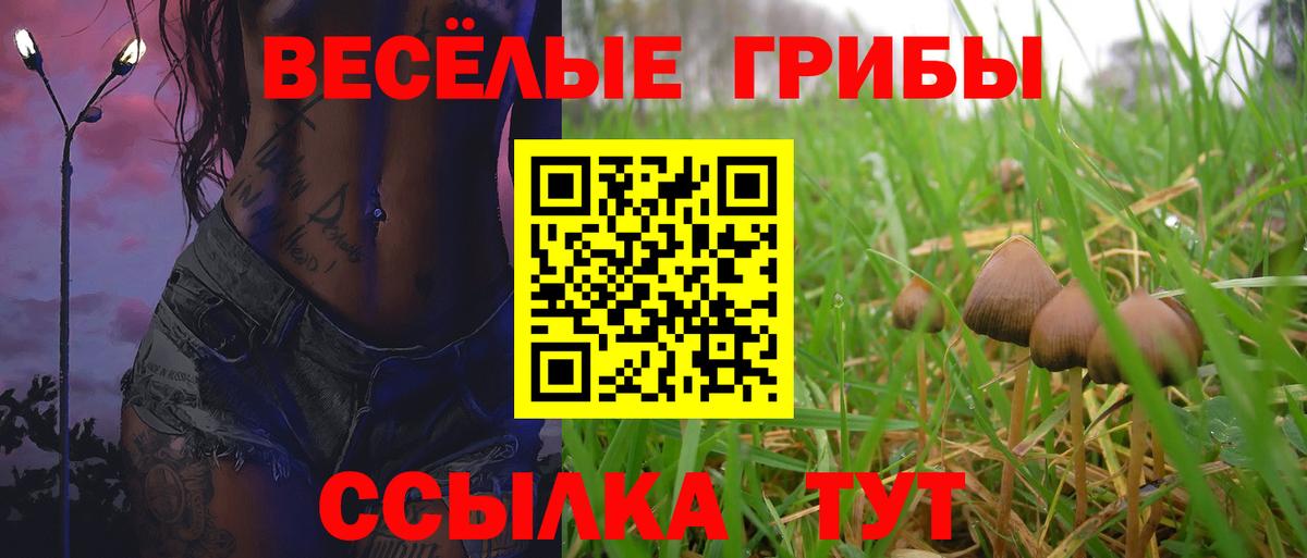 Псилоцибиновые грибы мухоморы Набережные Челны